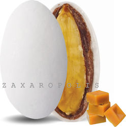 Zaxaropolis 8061 Zaxaropolis 8061