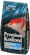 Τροφη Ψαριων Λιμνης Κοι Πελλετ Βασικη Kinshi Premium Koifood Basic L Βασικη Τροφη Πελλετ 10 Kg