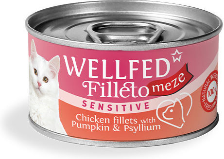 Wellfed Filleto Meze Wet Food for Adult Cats with Chicken, Pumpkin and Meat Grain-Free 70gr