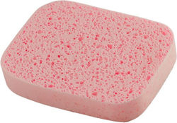 Face Sponge