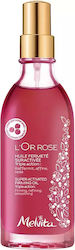 Melvita Έλαιο L' Rose 100ml Melvita Έλαιο L' Rose 100ml