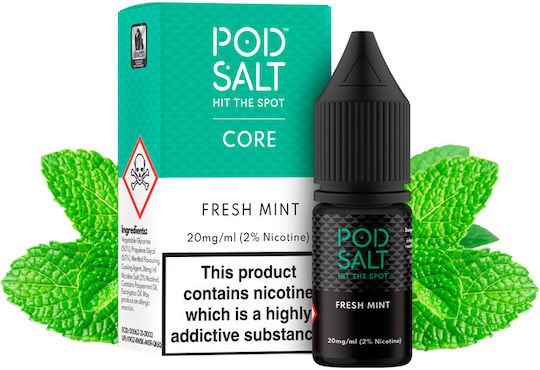 Pod Salt Fertige Nachfüllflüssigkeit mit Minze Geschmack 20mg 10ml