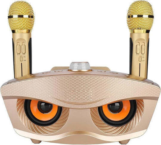 Ηχείο Karaoke με Ασύρματα Μικρόφωνα SD-306S Χρυσό