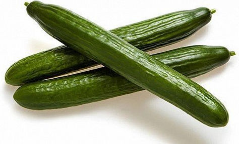 Rijk Zwaan Seeds Cucumber 500pcs