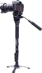 Yunteng 4295 Monopod