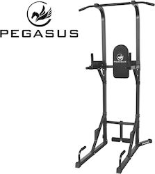 Pegasus PG-026A Μονόζυγο & Δίζυγο χωρίς Βάρη Pegasus PG-026A Μονόζυγο & Δίζυγο χωρίς Βάρη