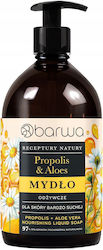 Barwa Αφρόλουτρο 480ml