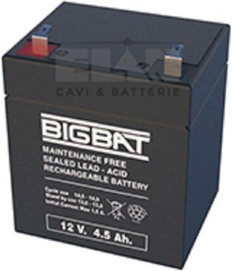 Elan UPS Batterie mit Kapazität 4.5Ah und Spannung 12V 92802 1Stück