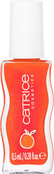 Catrice Cosmetics Luciu De Buze Summer Lips C02...