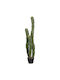 Decorative Synthetic Plant Hm4747 Cactus Pot Φ17 5x115cm