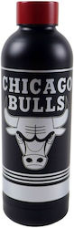 NBA 530ml Blue