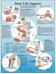 Basic First Aid Instructions Poster