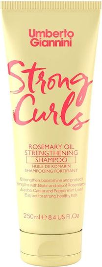 Umberto Giannini Reconstruction/Nourishment & Hydration Shampoo for Curly Hair 250ml