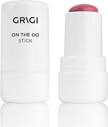 Grigi Stick Blush 01 Pink Fuchsia