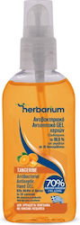 Herbarium Handdesinfektionsmittel Spray 80ml