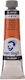 Royal Talens Set Ölfarben Orange 20ml 3Stück