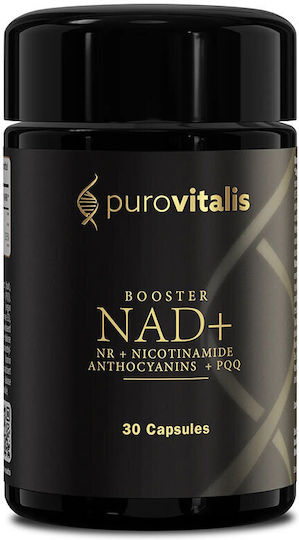 Purovitalis NAD+ Booster Ειδικό Συμπλήρωμα Διατροφής 30 κάψουλες