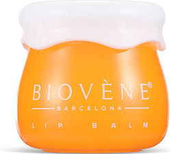 Biovene Barcelona Honig + Ceramid Lippenpflege Butter Balm Sos Reparatur Creme Cremig 8g