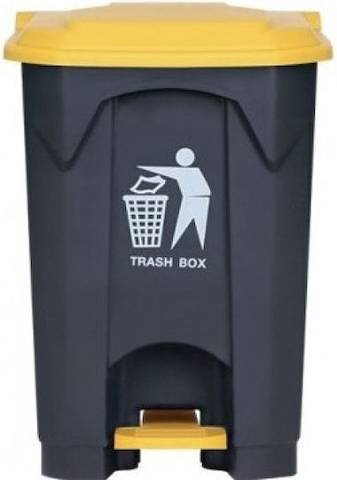 Delta Cleaning Plastic Coș de gunoi Deșeuri cu Pedală 45lt Gri