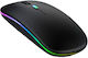 Ασύρματο RGB Gaming Ποντίκι Μαύρο