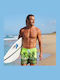 Men's Swimwear Shorts Green