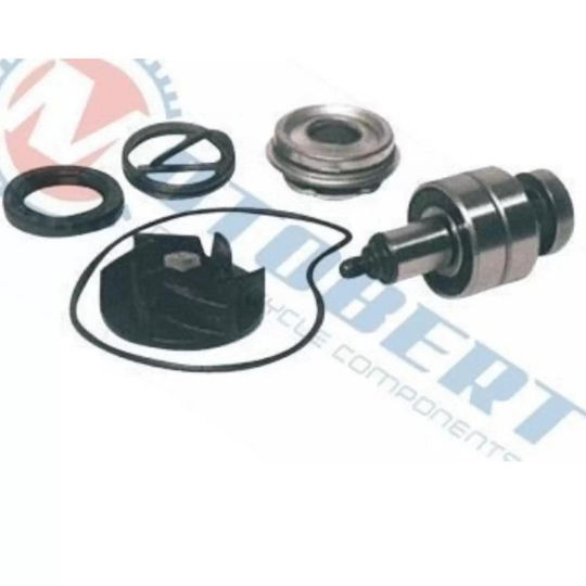 Piese de Schimb pentru Pompa de Apă Piaggio Mp3 7420020 Mobe