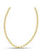 Themelidis Jewels Γυναικεία Αλυσίδα Λαιμού από Ανοξείδωτο Ατσάλι Επιχρυσωμένη Λεπτή Πάχους 5mm και Μήκους 55cm
