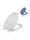 Elvit Capac WC Plastic Albastru