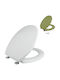 Elvit Plastic Toilet Seat Green