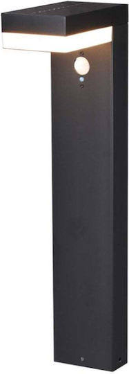 123led Solar Light Traffic light 6W 600lm Warm White 2700K with Motion Sensor and Photocell IP44