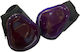 Epigasos Horse Tendon Boots 2 Pcs Hind Purple Full