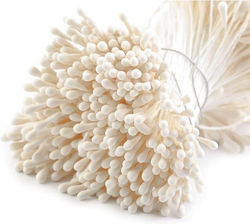 Stamine Crem Stamine Crem