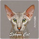 Μαγνητάκι Ψυγείου Action Lab Sphynx Cat