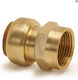Tectite Classic 22x3/4 G Fitting Connector