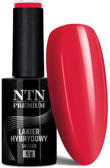 NTN Premium Хибриден Лак за Нокти 126 5гр 1бр