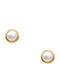 Polytimo Earrings made of Gold 9K with Pearls