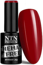 Ntn Premium Полутрайни Лакове За Нокти Romantica Колекция Hema/di-hema Безплатно 5г № 103