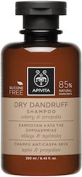 Apivita Dry Dandruff Σαμπουάν Kατά της Πιτυρίδα...