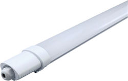 431897 Lampă inelară 431897 Lampă inelară