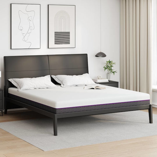 vidaXL King Size Matratze Wasser 200x200x16cm