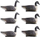 Vevor Decorative Garden 6pcs JTSLYEJNDE6JQC5BY001V0