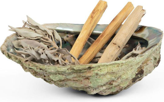 Set Smudge Palo Santo Salvie Scoică Curățare Spațiu Aură