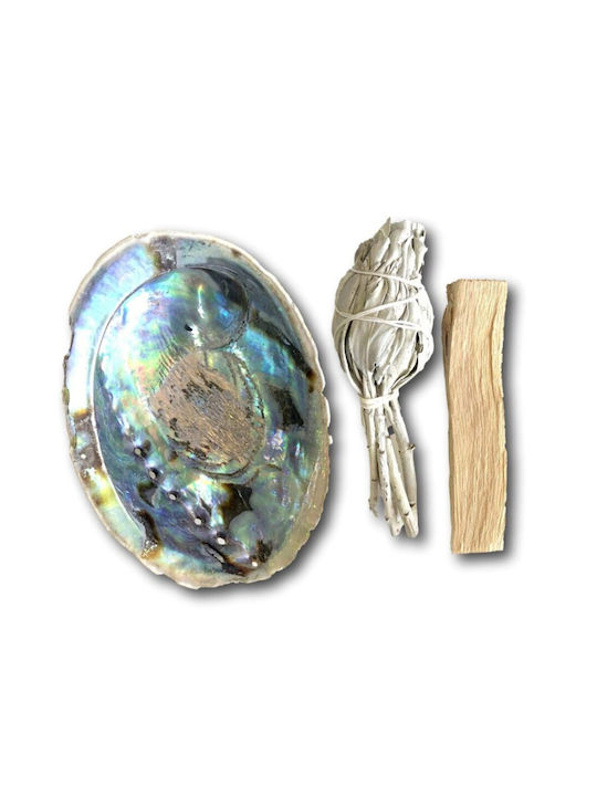 Smudge Set Palo Santo Sage Shell Space Aura Cleansing