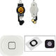 Home Button Flex Cable iPhone 5 White