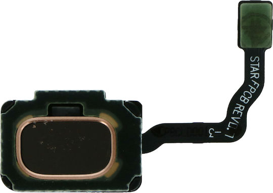 Fingerabdrucksensor Flexkabel Samsung Galaxy S9/s9 Plus Gold