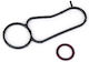 Oil Cooler Gasket 2025840