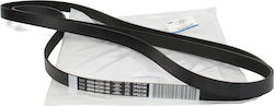 Alternator Belt 1720651 Alternator Belt 1720651