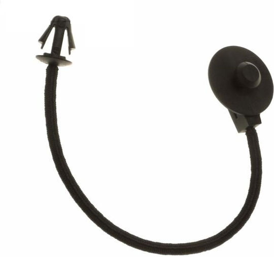 Timing Belt Fiesta Ccn 2013-2019 2003050