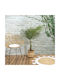 Φοίνικας σε Γλάστρα 120cm The Home Deco Factory