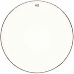 Fata Toba Mare Remo Encore 22" Amba Coated Bd